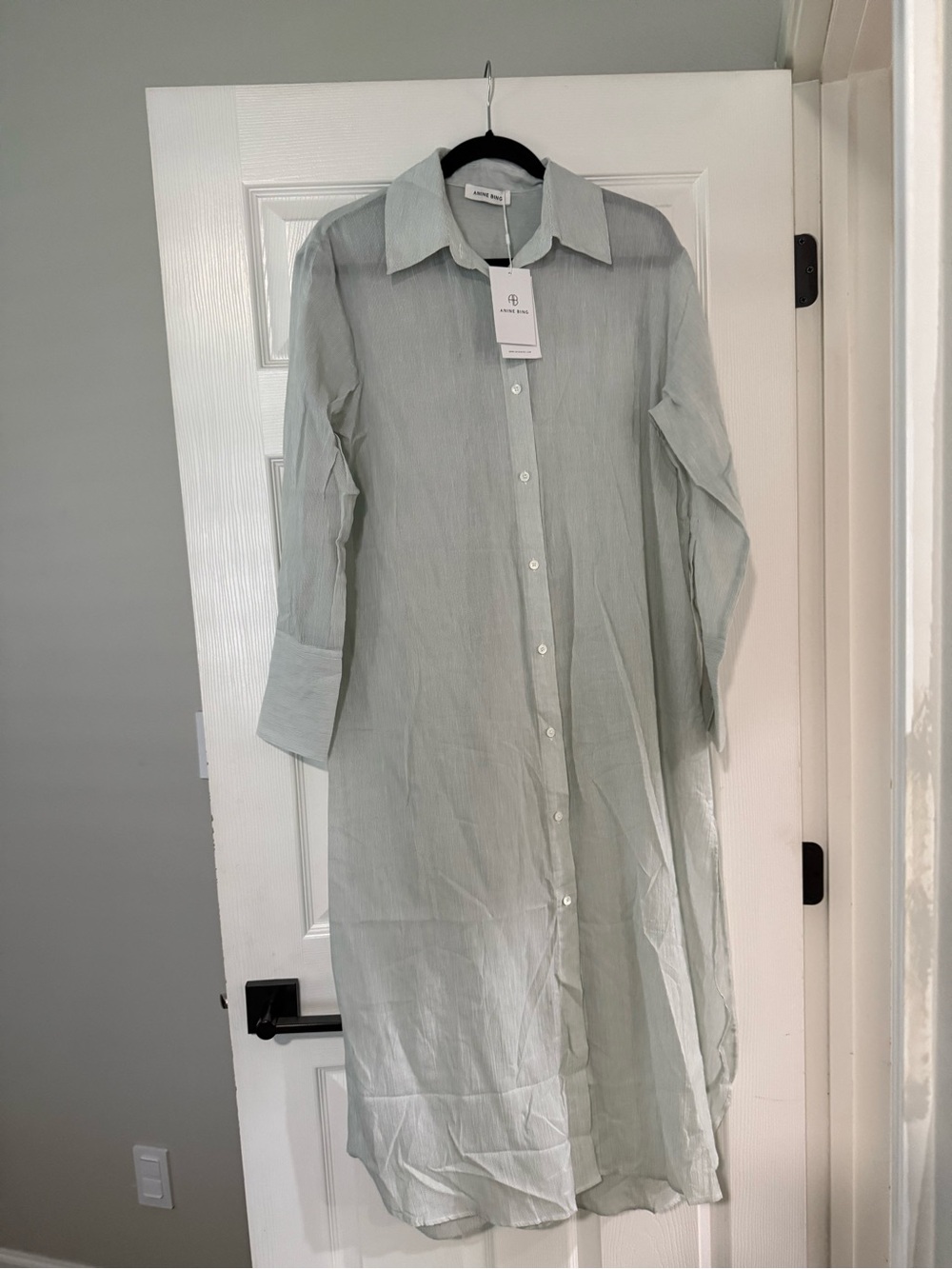 Anine Bing Light Sage Long Button-Down Shirt